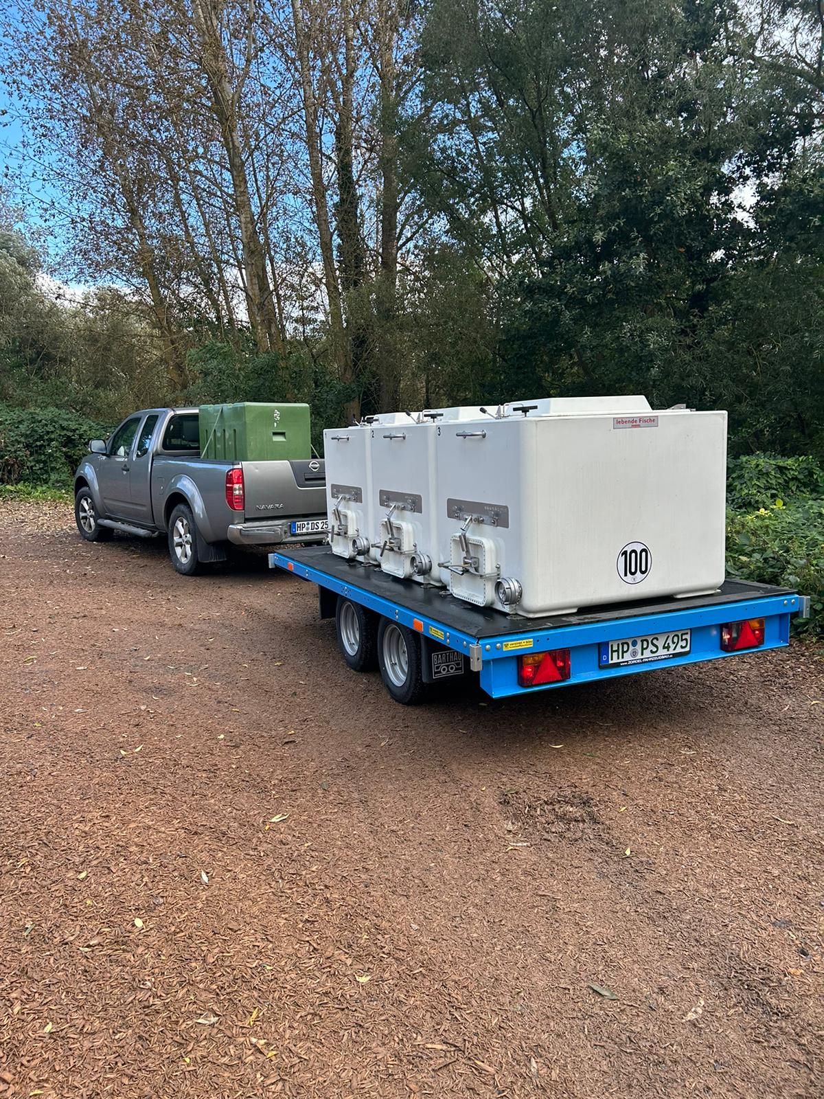 Spezialisierter Fischtransport mit Anhänger