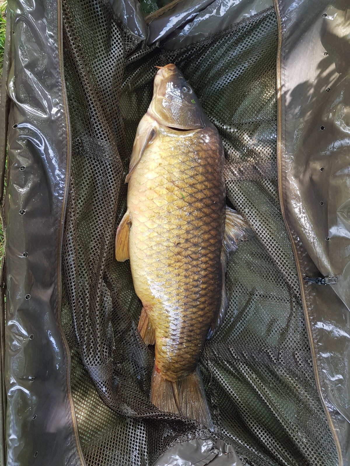 See bei Sonnenaufgang